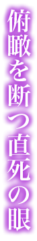 俯瞰を断つ直死の眼